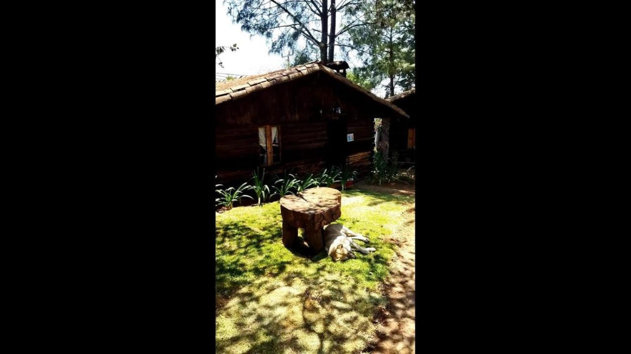 Cabanas Los Venados مازاميتلا المظهر الخارجي الصورة